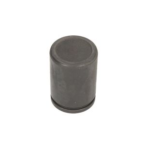 Piston, étrier de frein CQ 71385312, Avant