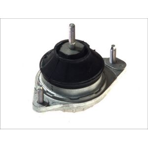 Lagerung, Motor CORTECO 80000218