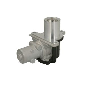 AGR Ventil BORG WARNER 710928D