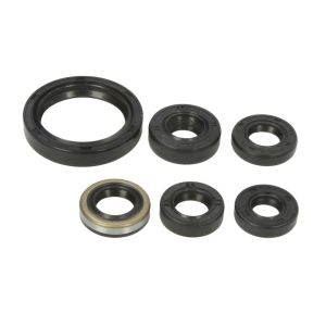 Kit de juntas do motor WINDEROSA W822334