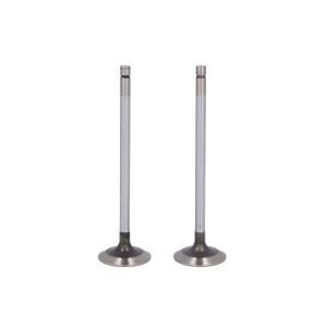 Imuventtiili  FP DIESEL RE518080-FP