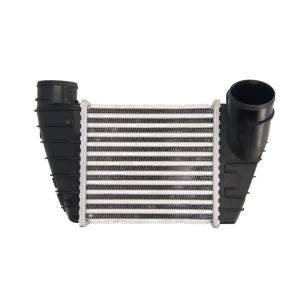 Intercooler THERMOTEC DAA017TT
