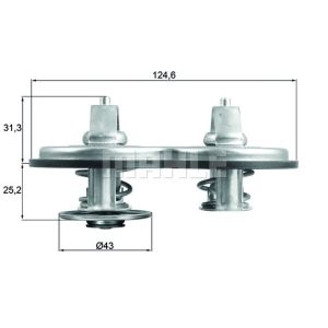 Termostato, refrigerante BEHR MAHLE TX 141 83