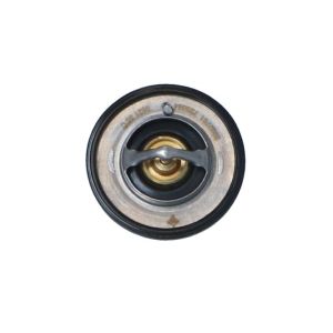 Thermostat NRF 725084