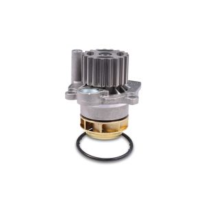 Waterpomp HEPU P565