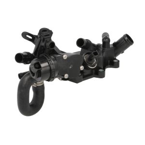 Thermostat d'eau THERMOTEC D2R024TT