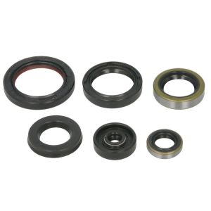 Kit de  joints de moteur WINDEROSA W822995