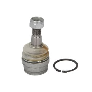 Junta de suporte FAG 825 0366 10