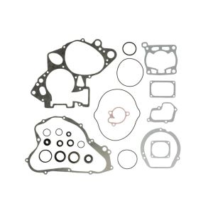 Kit de juntas, motor WINDEROSA W811547