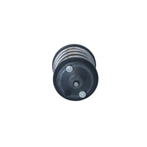 Thermostat NRF 725274