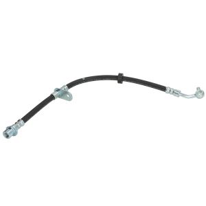 Flexible de frein DELPHI LH7975