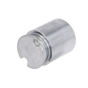 Piston, étrier de frein AUTOFREN SEINSA D025221, Arrière