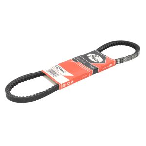 Cinghia Poly-V GATES 6389MC