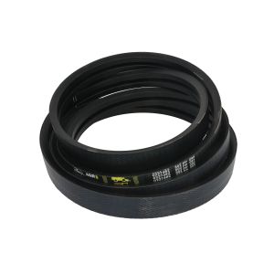 Cinghia Poly-V GATES 0227482-GAT