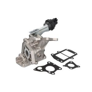 Vanne EGR NRF 48751