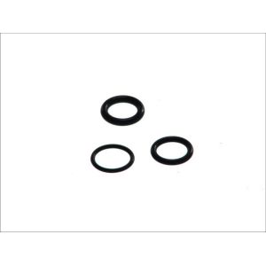 Rubber O-ringen DT Spare Parts 1.31310