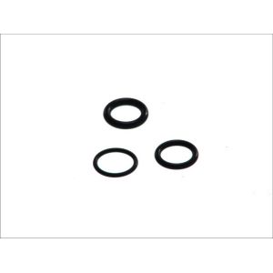 Gummi-O-Rings DT Spare Parts 1.31310