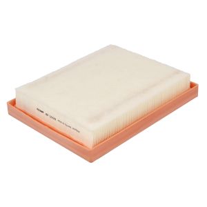 Luftfilter FILTRON AP 124/8