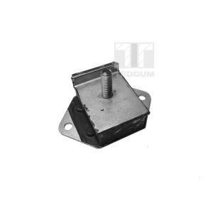Lagerung, Motor TEDGUM 00241385