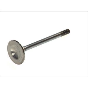 Válvula de escape FRECCIA R4963/BMARCR