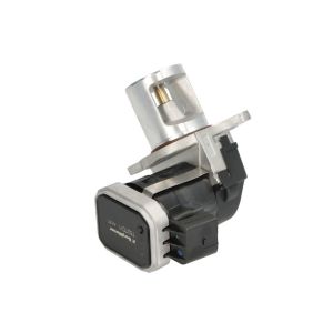 AGR Ventil BORG WARNER 7527D/1