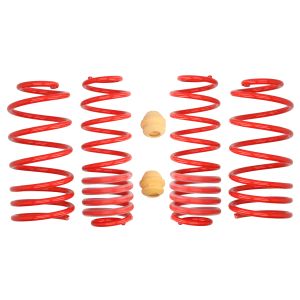 Molla di sospensione Pro-Kit EIBACH E20-85-001-02-22