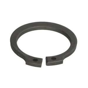 Element differentieel CARRARO 24820-CR