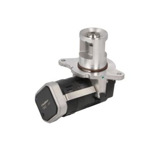 AGR Ventil BORG WARNER 7389D/1
