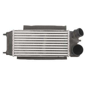 Intercooler THERMOTEC DAG014TT