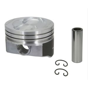 Pistone SEALED POWER H815DCP 20