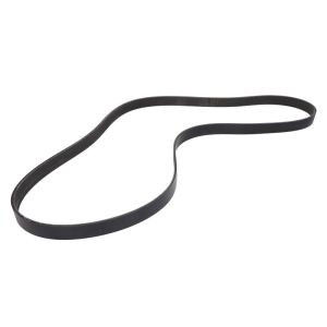 Correa poly V GATES 0285304-GAT