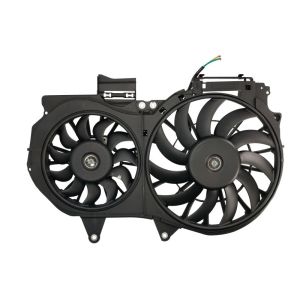 Ventilador, arrefecimento do motor THERMOTEC D8A014TT