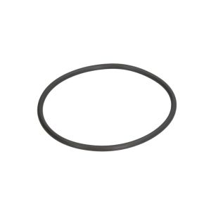 O-Ring, Getriebe ZF 0634313574ZF