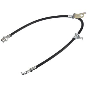 Bremsschlauch BLUE PRINT ADBP530023