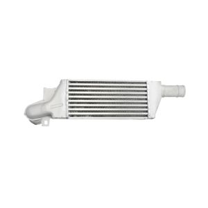 Intercooler THERMOTEC DAX009TT