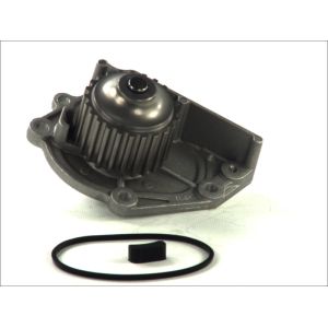 Waterpomp THERMOTEC D1K006TT