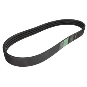 Cinghia Poly-V OPTIBELT 1001951AP