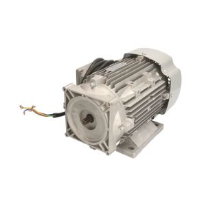 Motor elétrico 380-400V/2, EVERT EVERTZL320201004