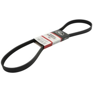 Cinto com nervuras em V Micro-V® Stretch Fit™ GATES 6PK1248SF