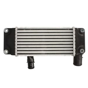 Intercooler THERMOTEC DA2005TT