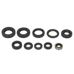 Kit de juntas do motor WINDEROSA W822341