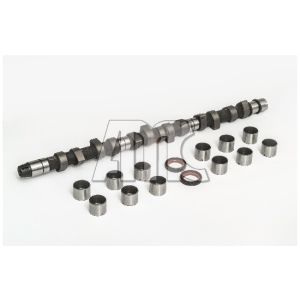 Conjunto da árvore de cames AMC 653853K