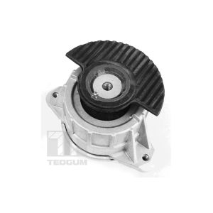 Motorträger TEDGUM 00418476