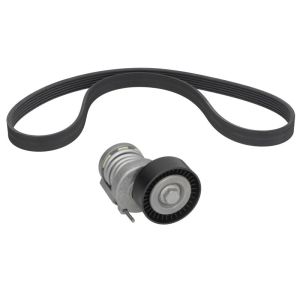 Cinto com várias nervuras (6PK1019)  CONTINENTAL 6PK1100K1