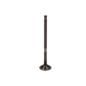 Soupape d'échappement AE V98059