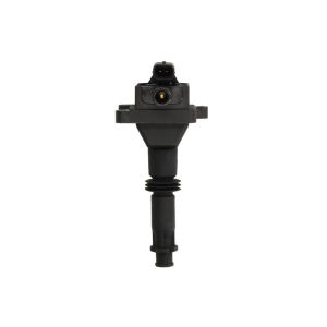 Bobine DELPHI CE20040-12B1