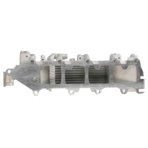 Ladeluftkühler THERMOTEC DAW021TT