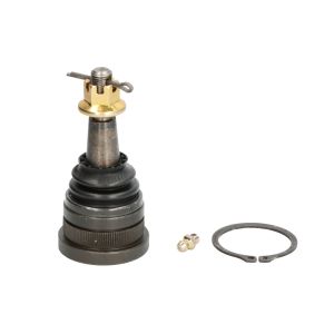 Pino do braço de controlo, dianteiro MOOG AMGK500340