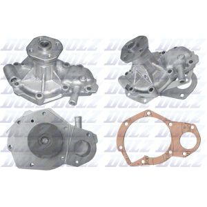 Pompe à eau DOLZ R125