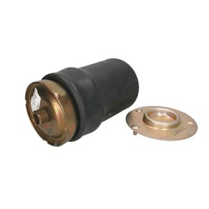 Fole de mola, suspensão pneumática CONTINENTAL 819NP01 2686014000